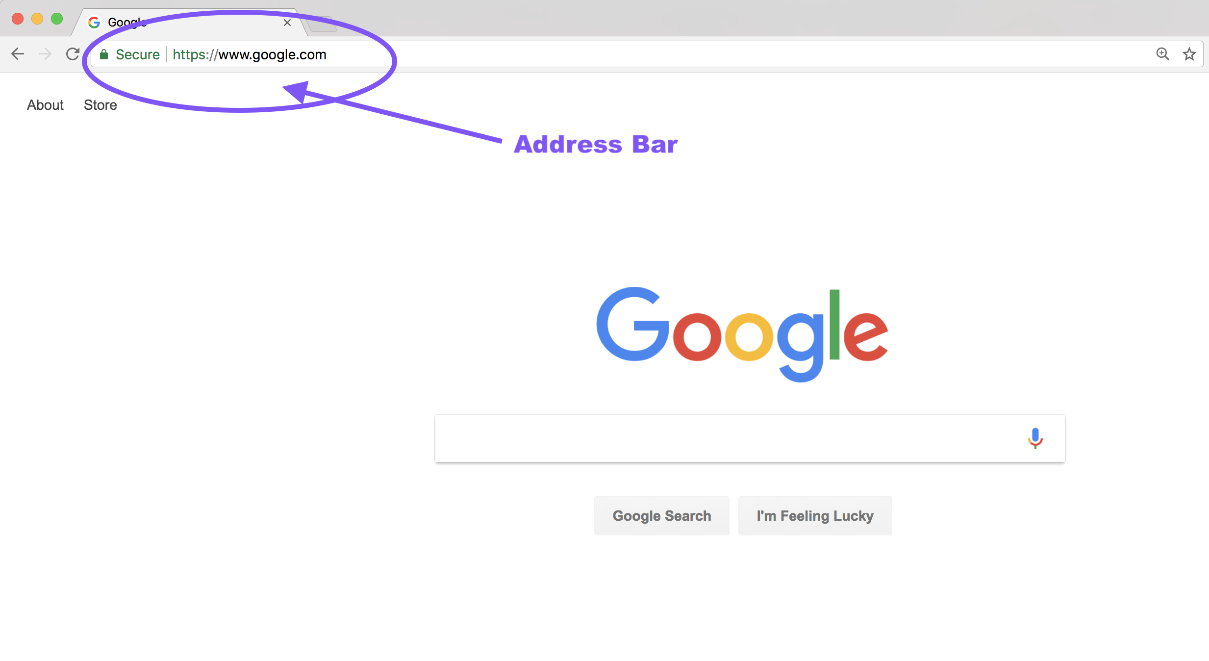 Chrome address bar