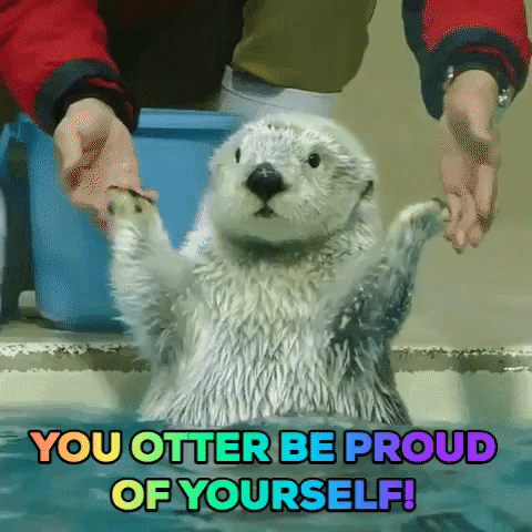 gif with an adorable otter
